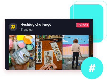 TikTok Reseller Showcase